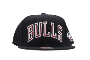 Chicago Bulls HWC Wildback Snapback