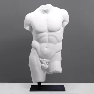 Male Torso Life-size statue on Base