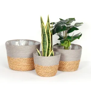 S/3 STRAW PLANT BASKETS